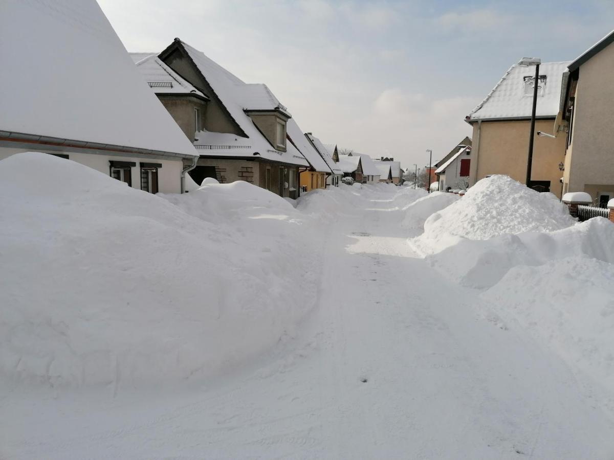 Blumenwerkstatt Mit Sauna Und Jacuzzi Dankerode  Exteriör bild